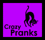 Crazy Pranks