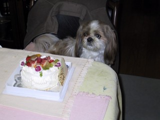 Pie with cake 2