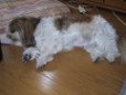 sleeping on the floor
