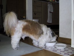 He's eating his meal