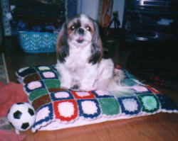 yawning on the cushion
