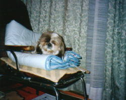 falling into sleep on the chair