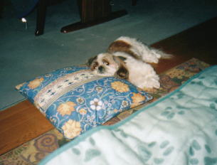 with mom's cushion