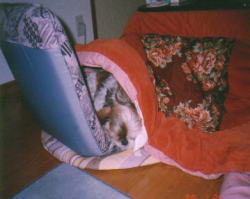 sleeping in the kotatsu coverlet