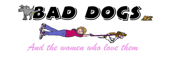 Bad Dogs and the Women Who Love Them