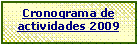 Cuadro de texto: Cronograma de actividades 2009