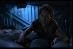 Sarah's rooftop hide.