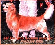 SIRE