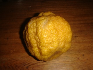 El lim&oacute;n en cuesti&oacute;n