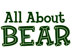 All About Bear