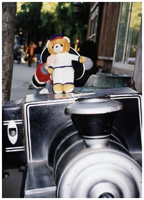 Photo of Bear on a Train