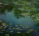 Claude Monet, 1840-1926