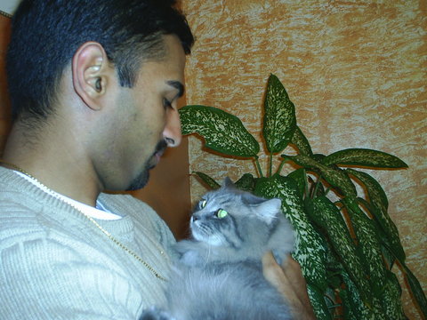 Once again not my cat..