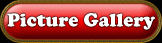 Navigate to Picture page