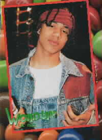 Lil' Fizz's World