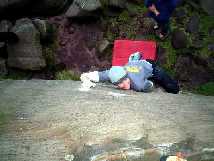 Classic sloping action