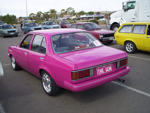 Miss Pinks TG