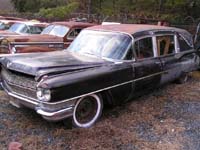 Tish in Salvage Yard