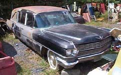 Tish in Salvage Yard