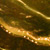 MAIA Abstracts