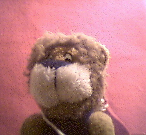 Joey, the most trusted knight of Bearland, in light clothings.&nbsp; He is rumored to have the heart of a lion.