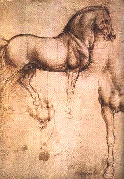 Animal studies.jpg (24854 bytes)