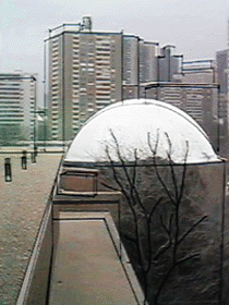 LeoWindow1.gif (47585 bytes)