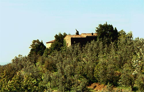 birth place.jpg (45353 bytes)