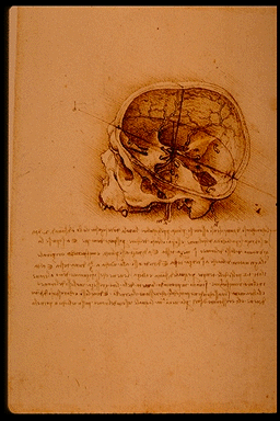 sc44.gif (64816 bytes)
