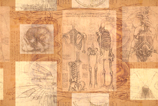 sciwall.gif (60423 bytes)
