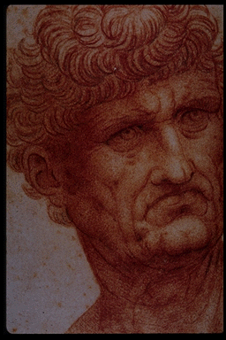 sk18(humanbody).gif (75793 bytes)