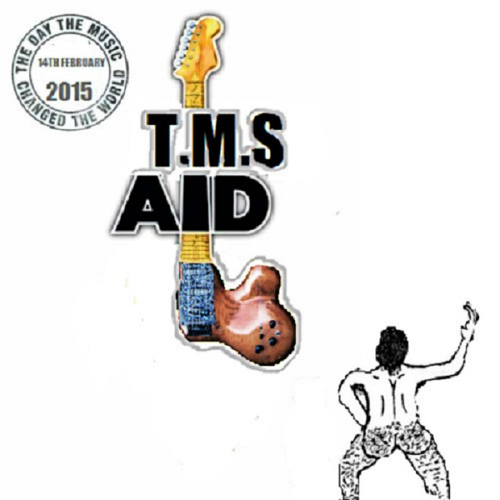 Deride the Shite Scene Vol. 2 album cover
