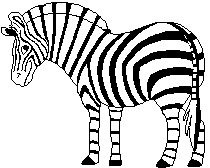 zebra