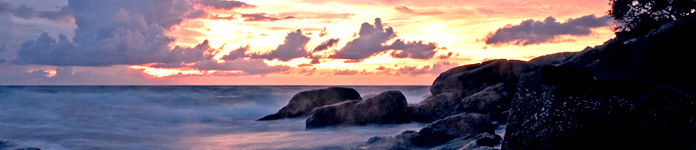 Header image