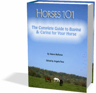 Caring For Your Horse