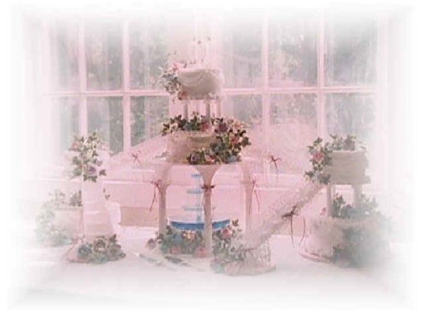 Wedding Cake with a fountain