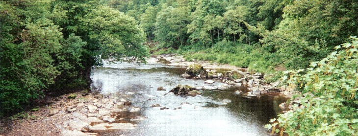 The Liddel River (also Liddle and Liddell according to various maps) below the bridge (westward) where it broadens to about 12 to 15 feet.
