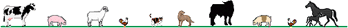 paws