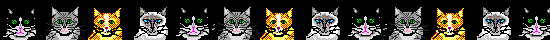 cats