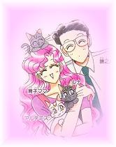 Kitties with the Tsukinos