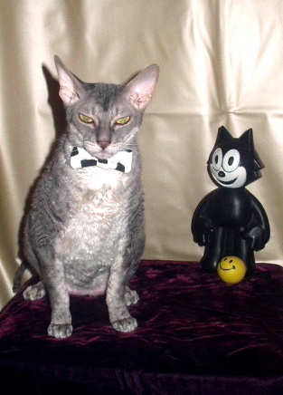 Formal Attire