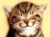 kitten.smile.jpg (2368 bytes)