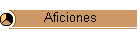 Aficiones