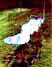 4 sculptures with light