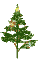 Feliz Natal