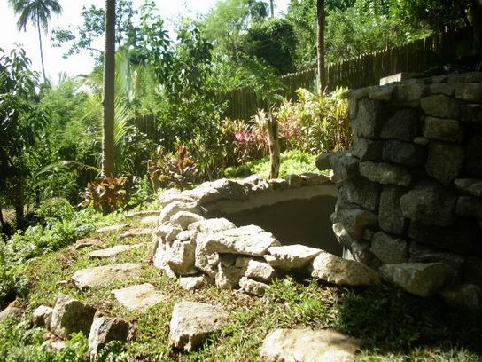 tanay2