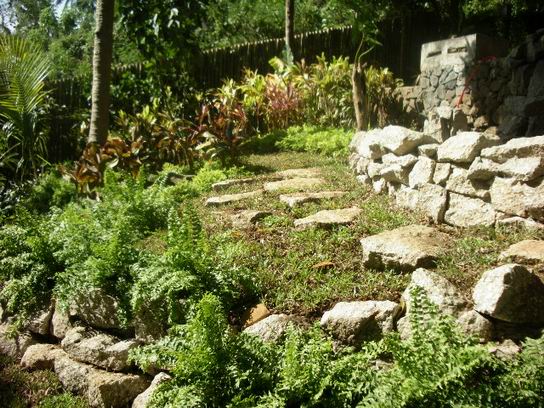 tanay project