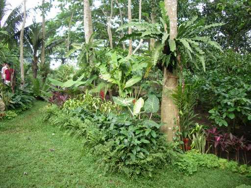tagaytay project