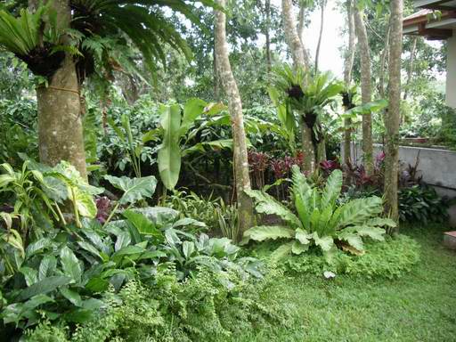 tagaytay2