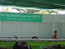 DSC00393.JPG